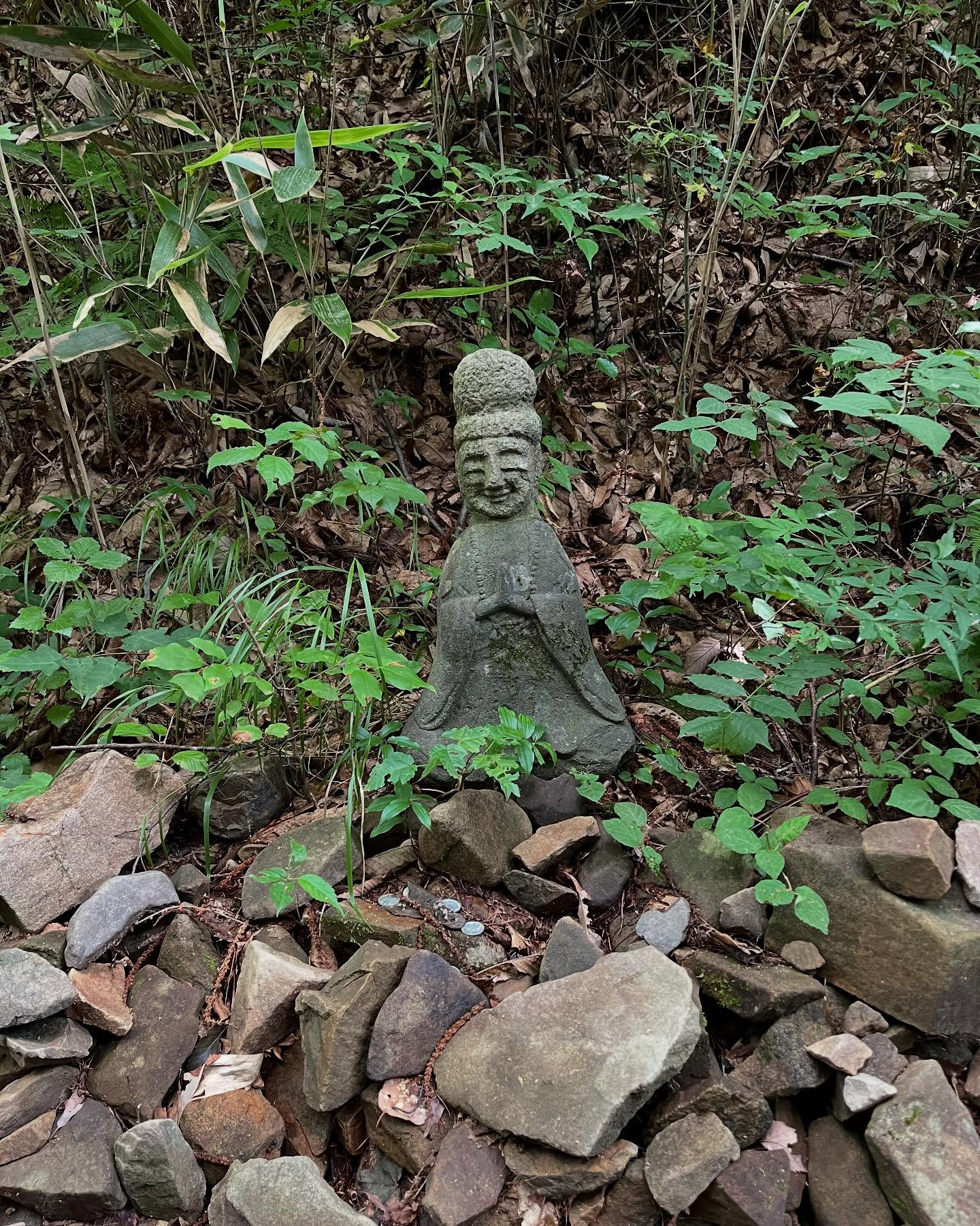 本日、
